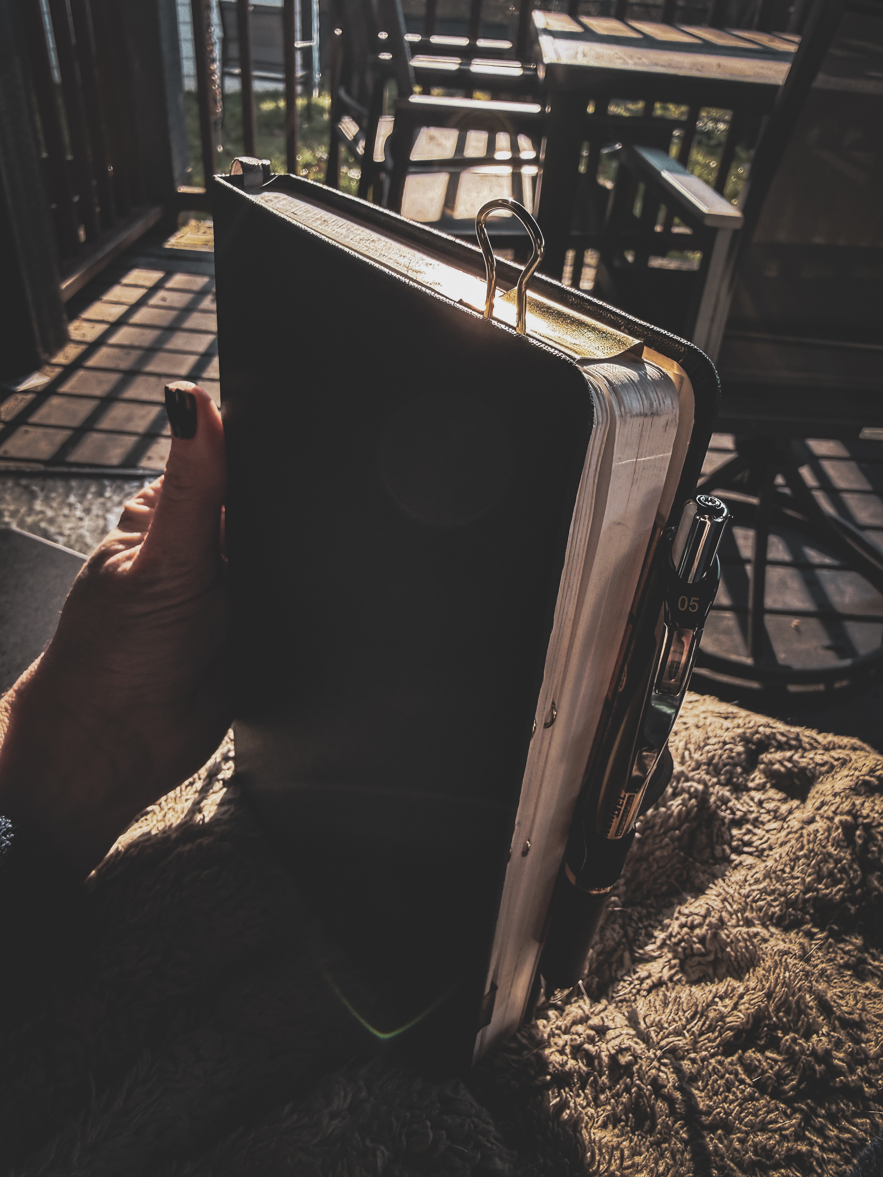 The Allure of Language and Metaphors