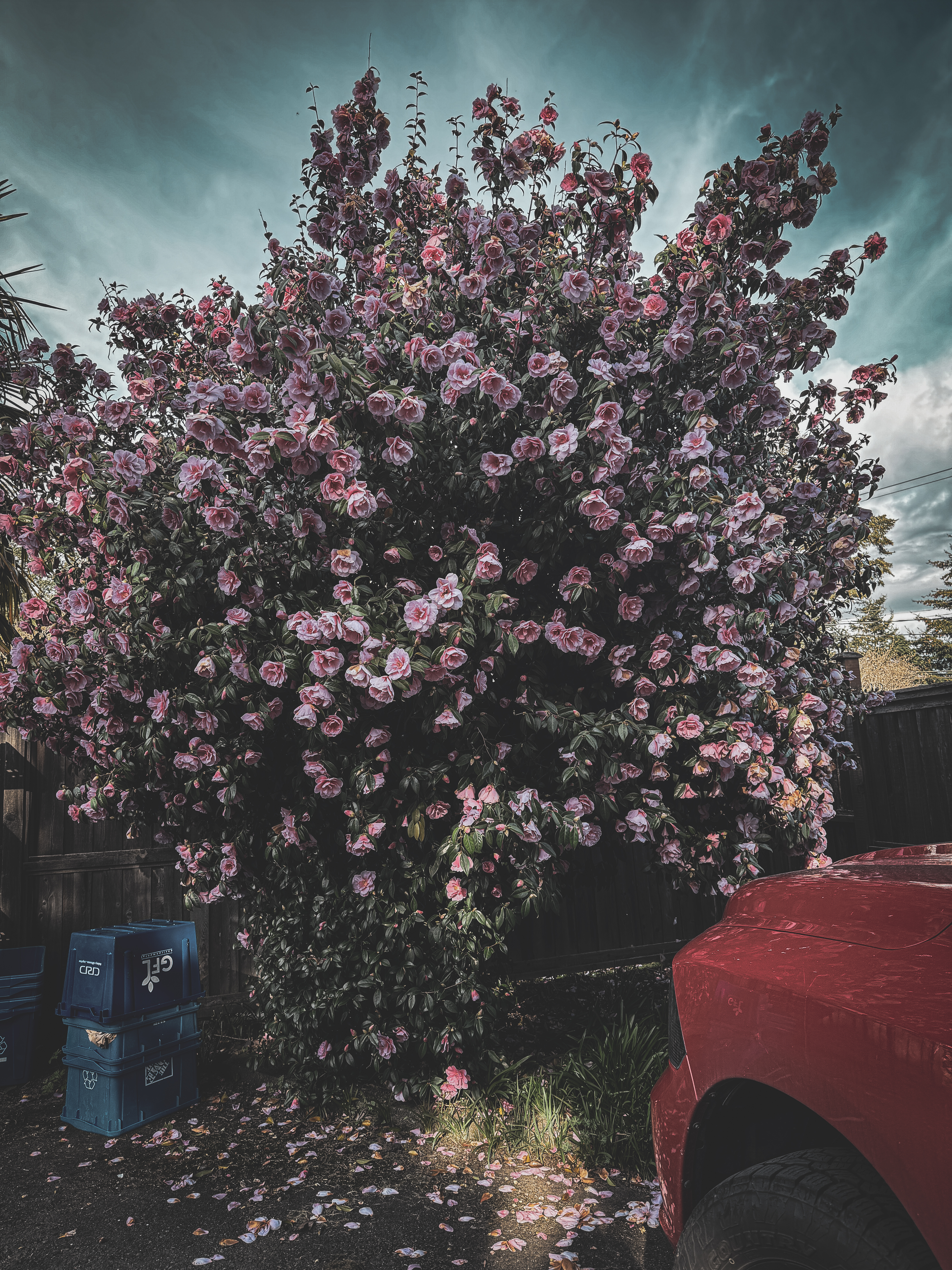 Motivation > Discipline, and Everything Else Really